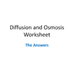 Diffusion And Osmosis Worksheet Answers With Regard To Diffusion Worksheet Answers