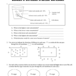 Diffusion Osmosis And Active Transport Together With Diffusion Worksheet Answers