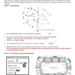 Diffusion Worksheet Answers  Briefencounters With Regard To Diffusion Worksheet Answers