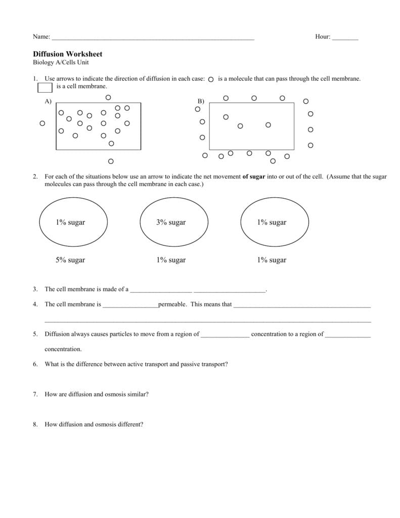 Diffusion Worksheet In Diffusion Worksheet Answers