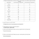 Diploid And Haploid Worksheet Along With Chromosome Worksheet Answer Key