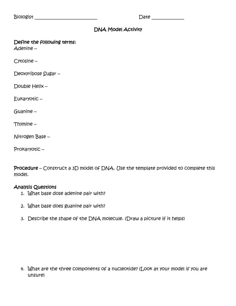 Dna Paper Model Activity Together With Dna Model Activity Worksheet Answers