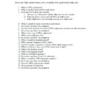 Dna Replication Coloring Key – Hitcolorco Inside Dna Replication Practice Worksheet Answers