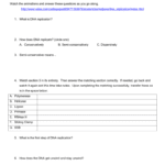 Dna Replication Web Quest Throughout Dna Replication Practice Worksheet Answers