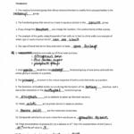 Dna Replication Worksheet Answer Key  Briefencounters Throughout Dna Replication Practice Worksheet Answers