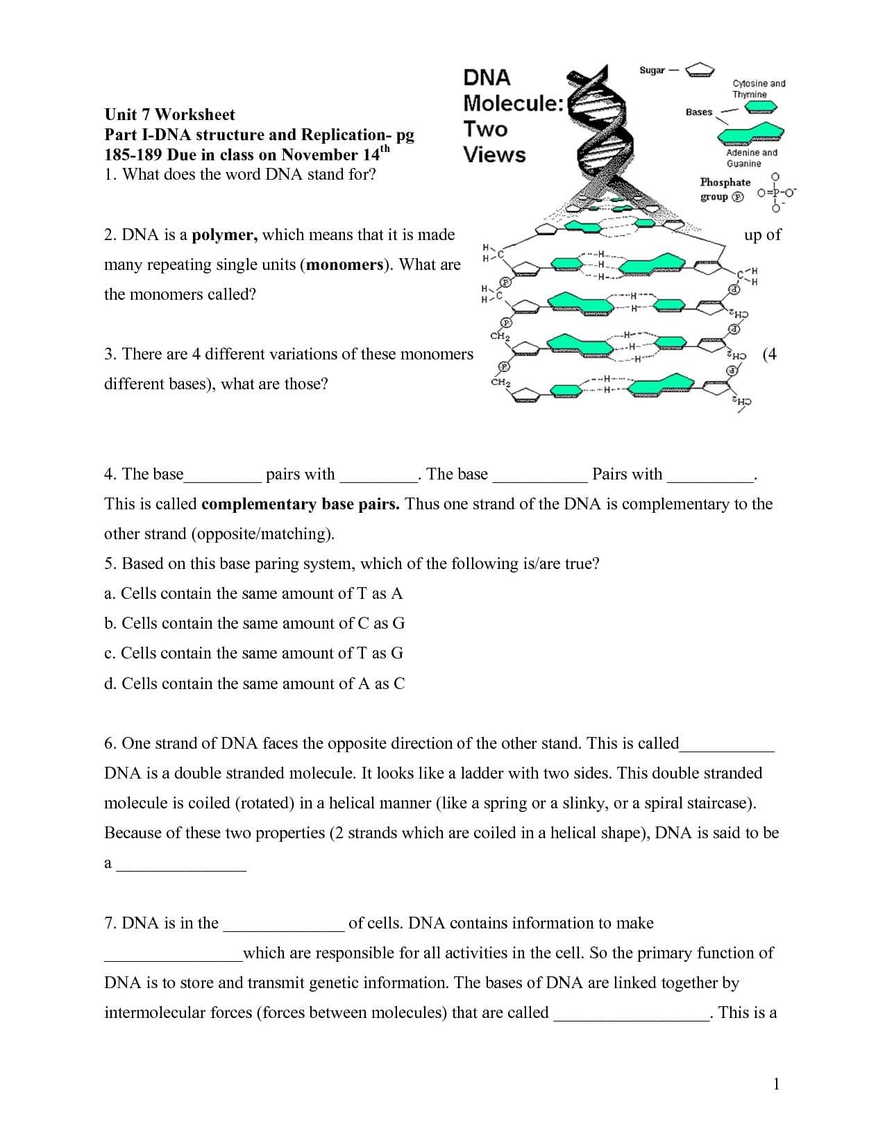 Dna Worksheet Key Within Dna Structure And Replication Worksheet