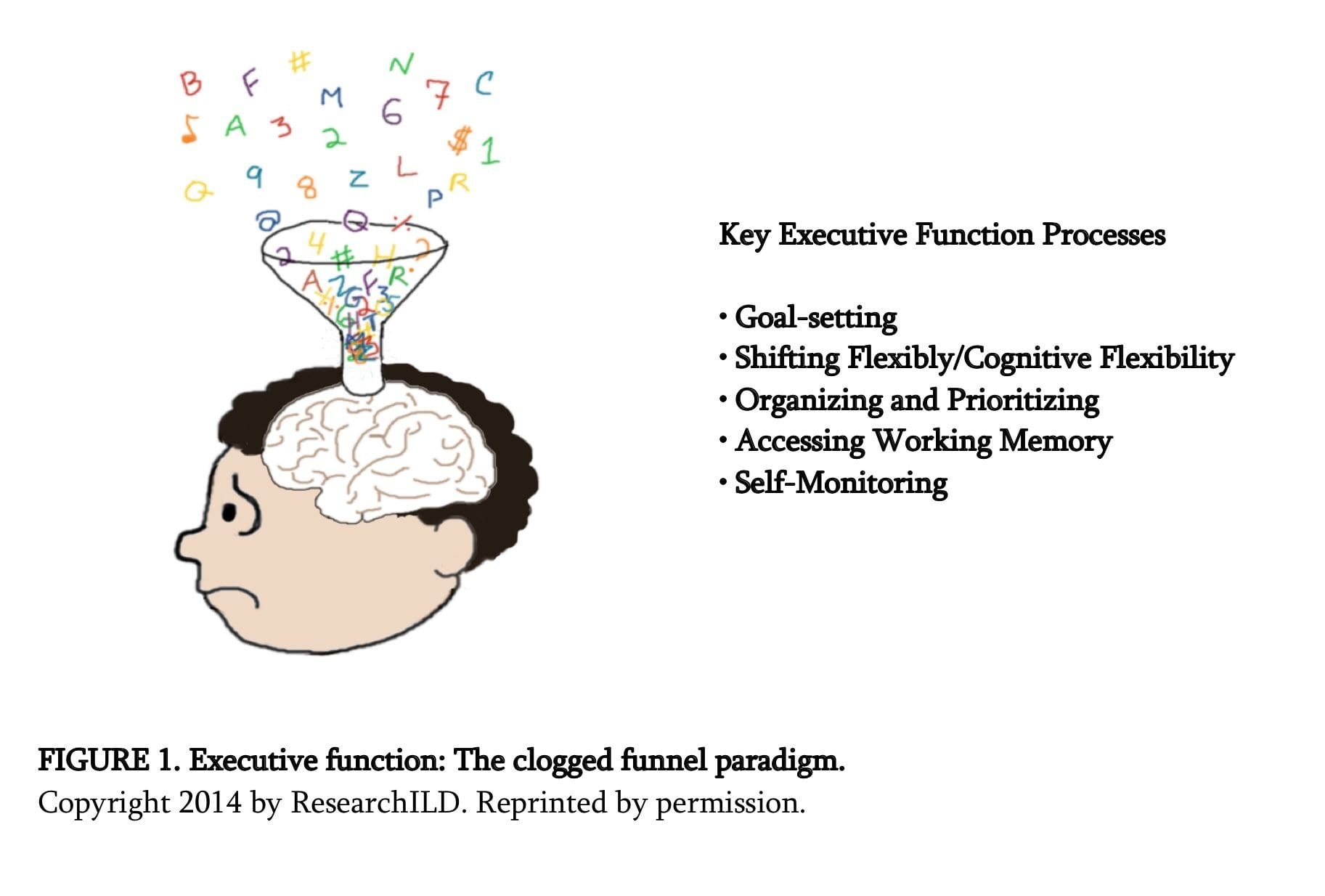 Executive Function Strategies The Building Blocks For Together With Executive Functioning Worksheets