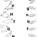Kindergarten Animal Worksheets  Kids Activities Also French Worksheets For Kids