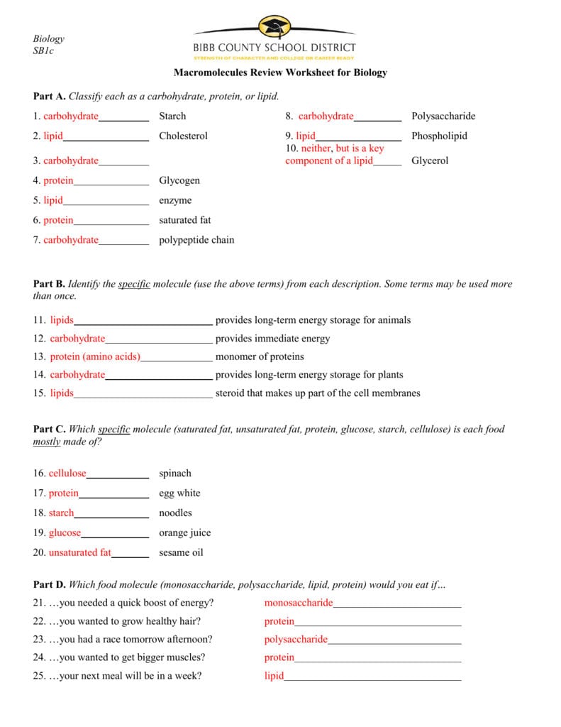 Macromolecules Worksheet 2 For Macromolecules Worksheet Answer Key
