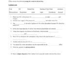 Microsoft Word  Cycles Worksheetdoc Pertaining To Integrated Science Cycles Worksheet Answer Key