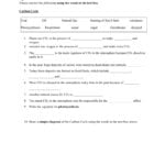 Microsoft Word  Cycles Worksheetdoc With Regard To Water Carbon And Nitrogen Cycle Worksheet Answer Key