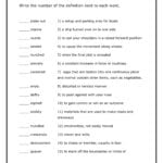 Middle School Level Vocabulary Word Match Worksheet 3 Or Vocabulary Worksheets Middle School