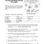 Mitosis Fillintheblank Worksheet Also The Cell Cycle Worksheet