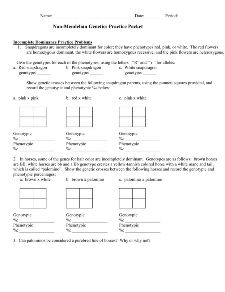 codominance-worksheet-blood-types-answers-printable-word-searches