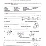 Pond Water Microscope Lab Worksheet  Briefencounters Or Immune System Worksheets For 5Th Grade