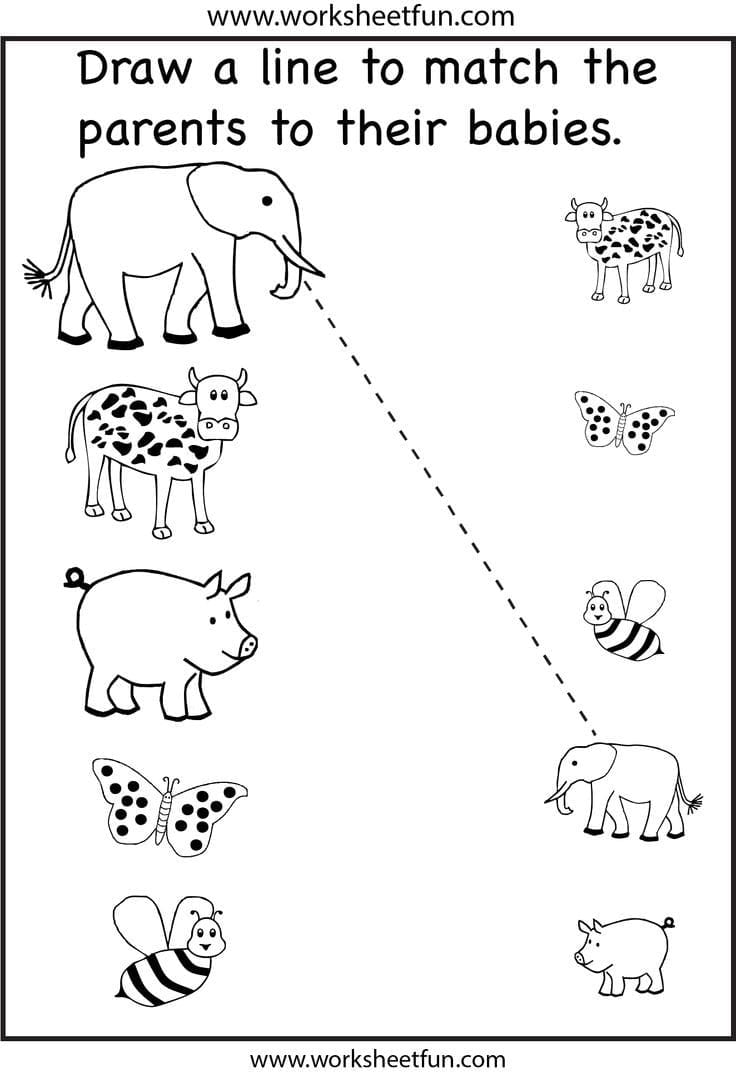 Preschool Matching Worksheet  Crafts And Worksheets For In Free Printable Toddler Worksheets