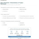 Quiz  Worksheet  Characteristics Of Tropical Rainforests With Tropical Rainforest Worksheet