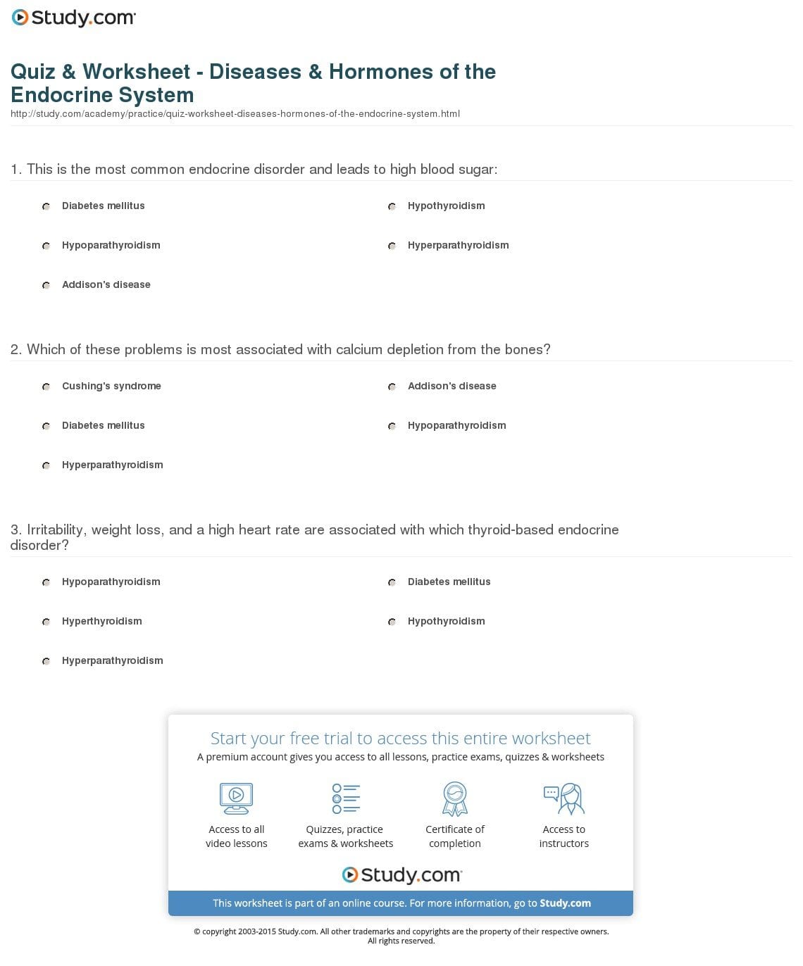 Quiz  Worksheet  Diseases  Hormones Of The Endocrine As Well As Human Endocrine Hormones Worksheet Key