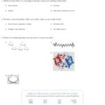 Quiz  Worksheet  Macromolecules  Study In Macromolecules Worksheet Answer Key