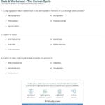 Quiz  Worksheet  The Carbon Cycle  Study Together With Carbon Cycle Worksheet Answer Key