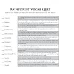 Rainforest Games And Worksheet Activities Save The Together With Tropical Rainforest Worksheet