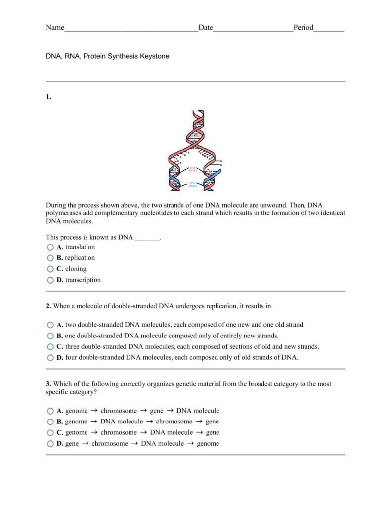 Rna And Gene Expression Worksheet Answers  Briefencounters Intended For Rna And Gene Expression Worksheet Answers