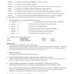 Sbi3C Enzymes Worksheet Solutions Modified Truefalse And Enzyme Worksheet Answer Key