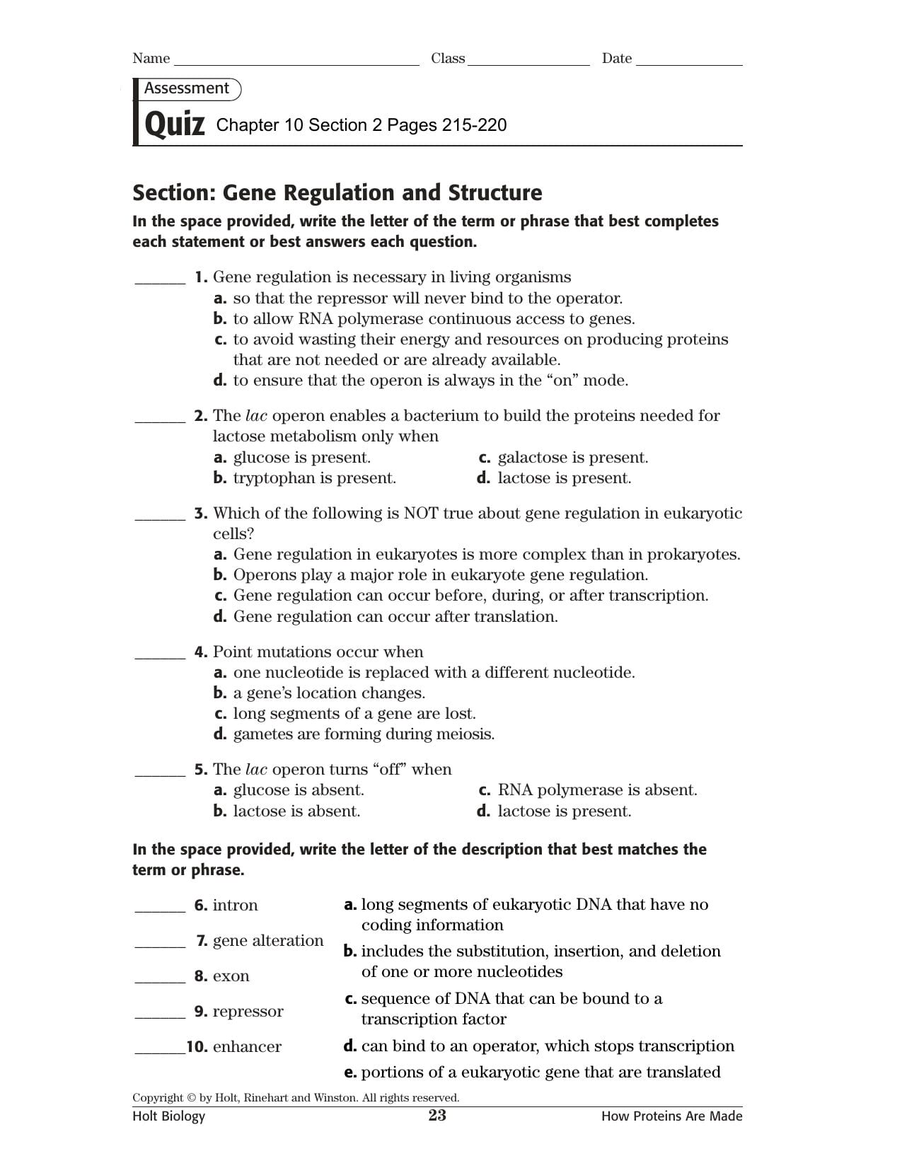 Section Gene Regulation And Structure As Well As Rna And Gene Expression Worksheet Answers