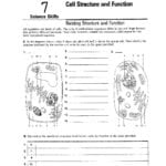 Singhal Seema  Biology As Well As Cell Structure And Function Worksheet Answers