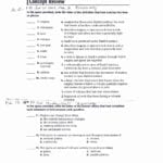 Skills Worksheet Concept Review Answers  Briefencounters For Skills Worksheet Concept Review