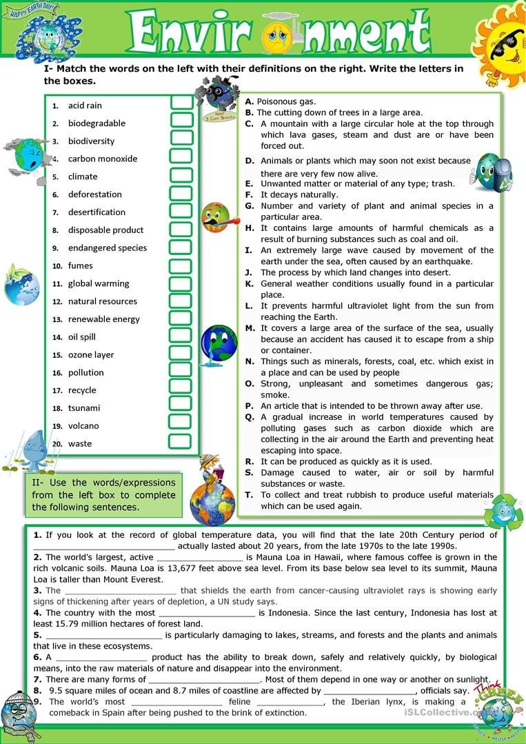 The Environment  Vocabulary Practice  English Esl Worksheets In Vocabulary Practice Worksheets
