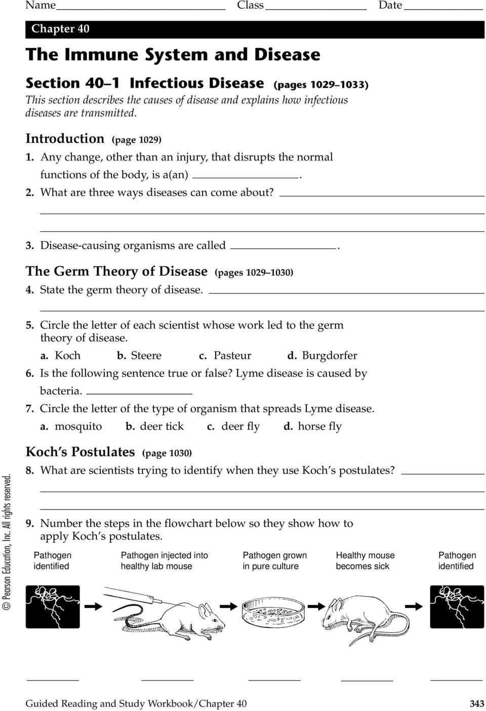 The Immune System And Disease  Pdf As Well As Immune System Worksheets For 5Th Grade