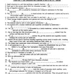 The World's Best Photos Of Function And Worksheet  Flickr And Cell Structure And Function Worksheet Answers