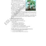 Tropical Rainforest  Esl Worksheetdankuur Together With Tropical Rainforest Worksheet