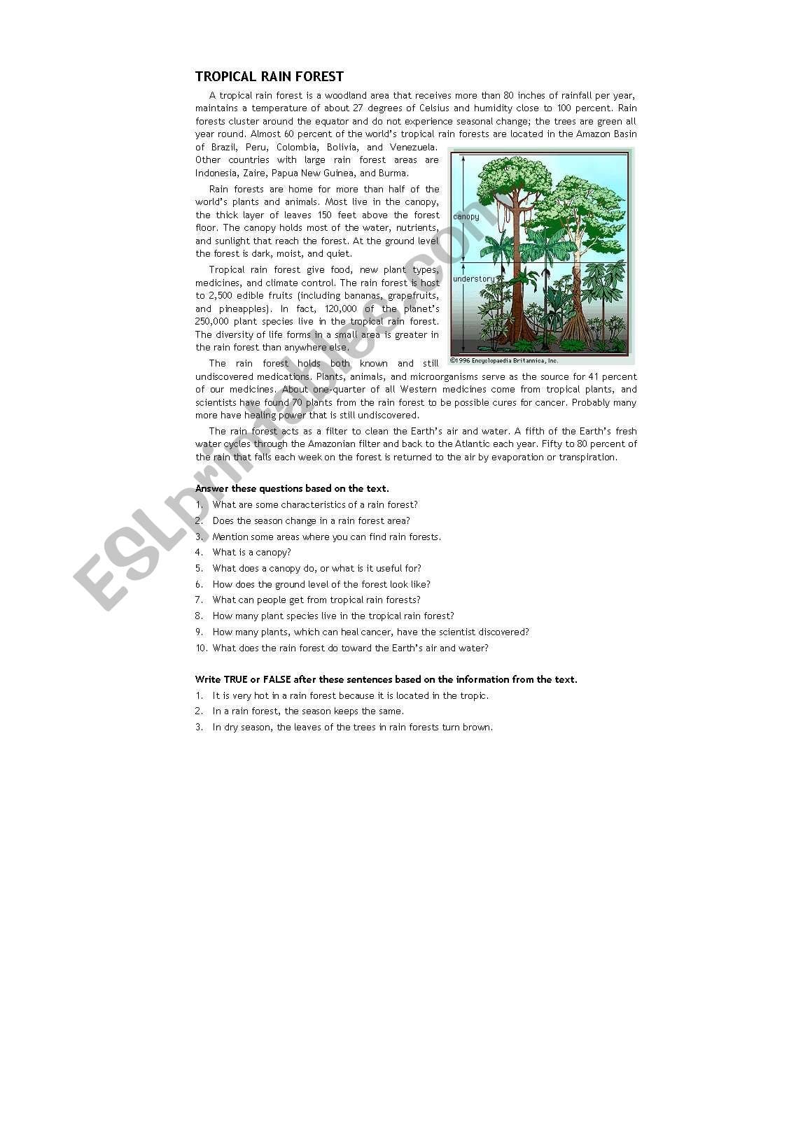 Tropical Rainforest  Esl Worksheetdankuur Together With Tropical Rainforest Worksheet
