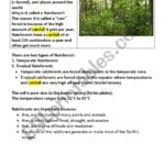 Tropical Rainforests  Esl Worksheetratsimarofy Within Tropical Rainforest Worksheet