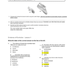 Understanding Main Ideas Or Review And Reinforce Worksheet Answers