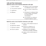 Vocabulary Review Inside Holt Biology Cells And Their Environment Skills Worksheet Answers
