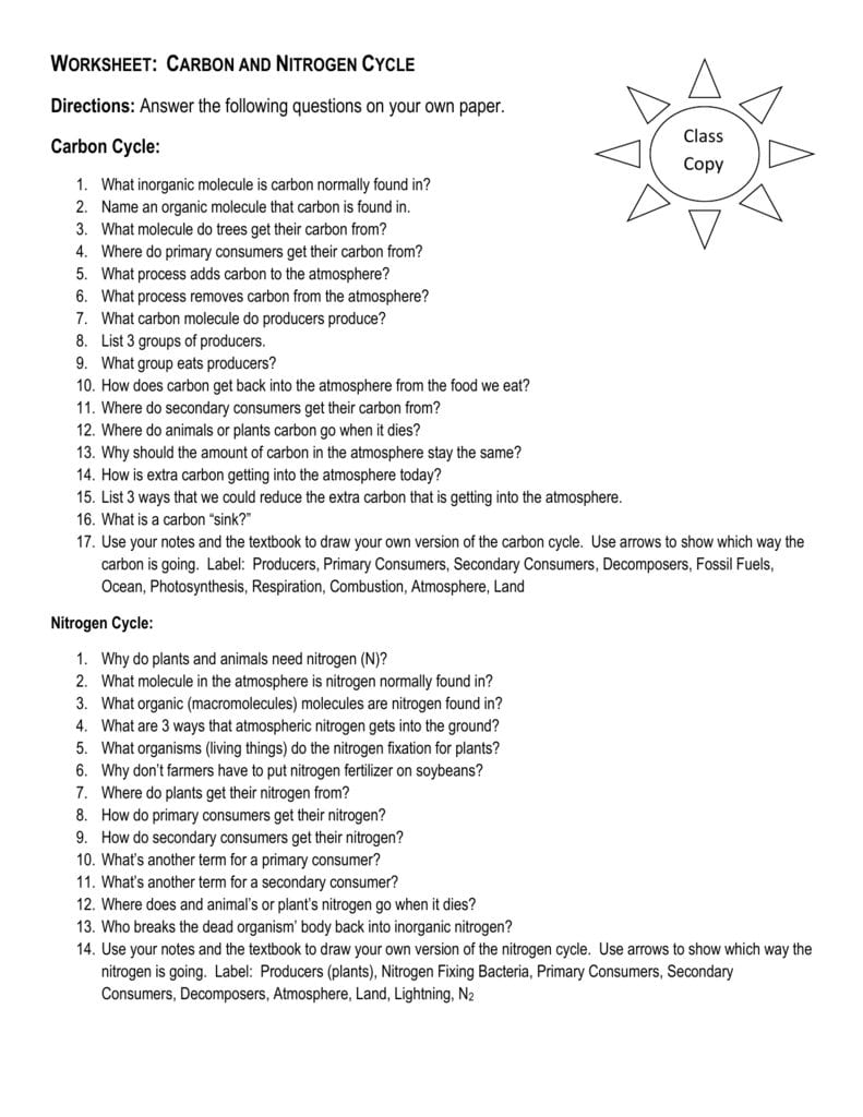 Worksheet Carbon And Nitrogen Cycle For Water Carbon And Nitrogen Cycle Worksheet Answer Key