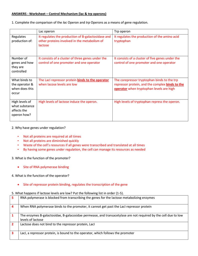 Worksheet Control Mechanisms As Well As Rna And Gene Expression Worksheet Answers