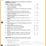 Worksheet Ideas  38 Staggering English Grammar Worksheets As Well As English Grammar Worksheets For Grade 2 With Answers