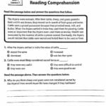 Worksheet Ideas  6Th Grade Reading Comprehension Worksheets With 6Th Grade Reading Worksheets