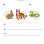 Worksheet Ideas  Animals Worksheets Image Inspirations As Well As Animal Adaptations Worksheets