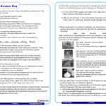 Year 4 Science Assessment Worksheet With Answers – Sound Pertaining To Science Worksheet Answers